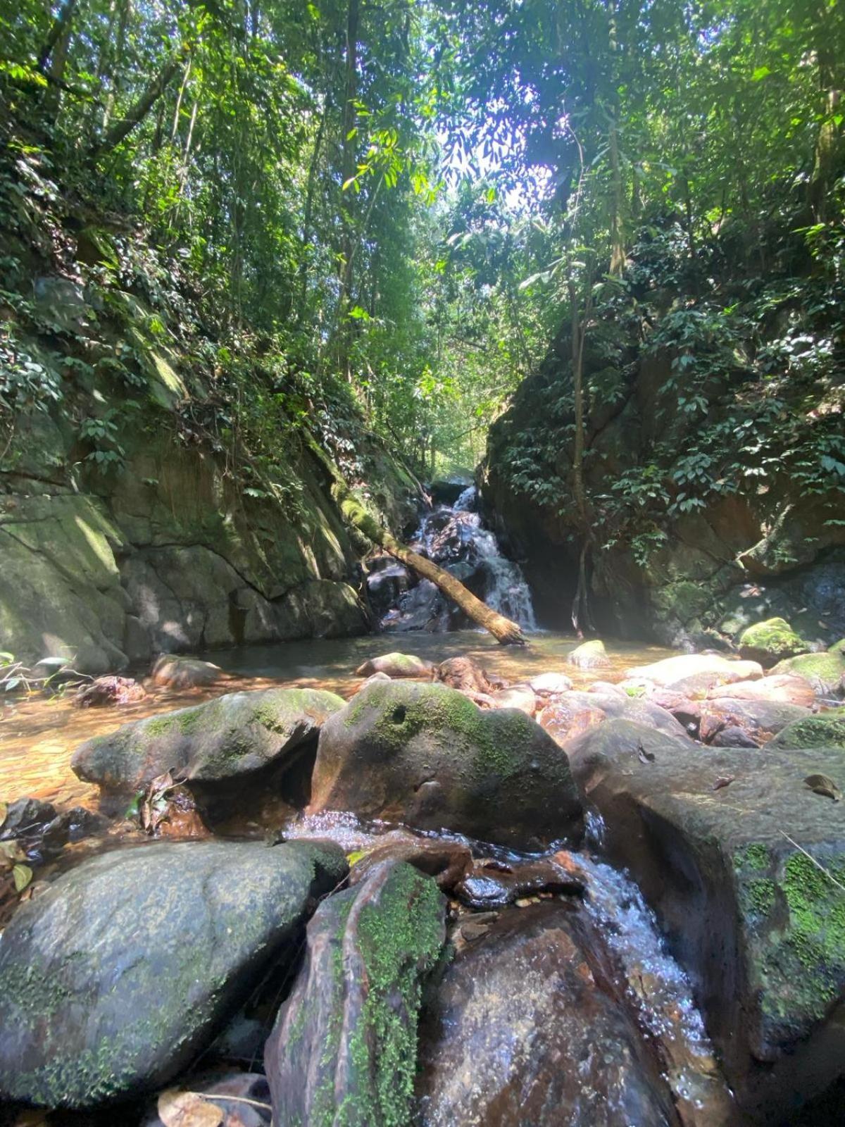 Eco Trekking Lodge, Bar & Jungle Tour'S Bukit Lawang Extérieur photo