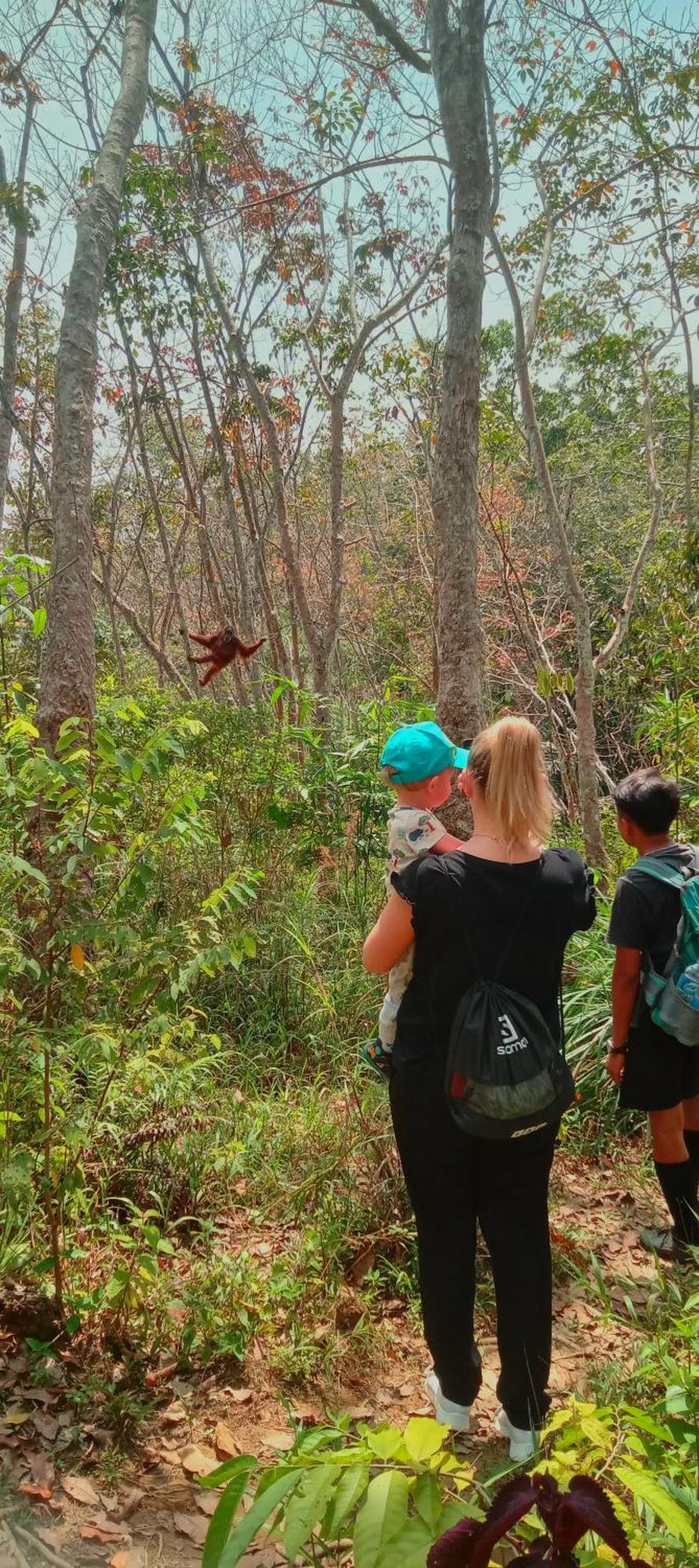 Eco Trekking Lodge, Bar & Jungle Tour'S Bukit Lawang Extérieur photo
