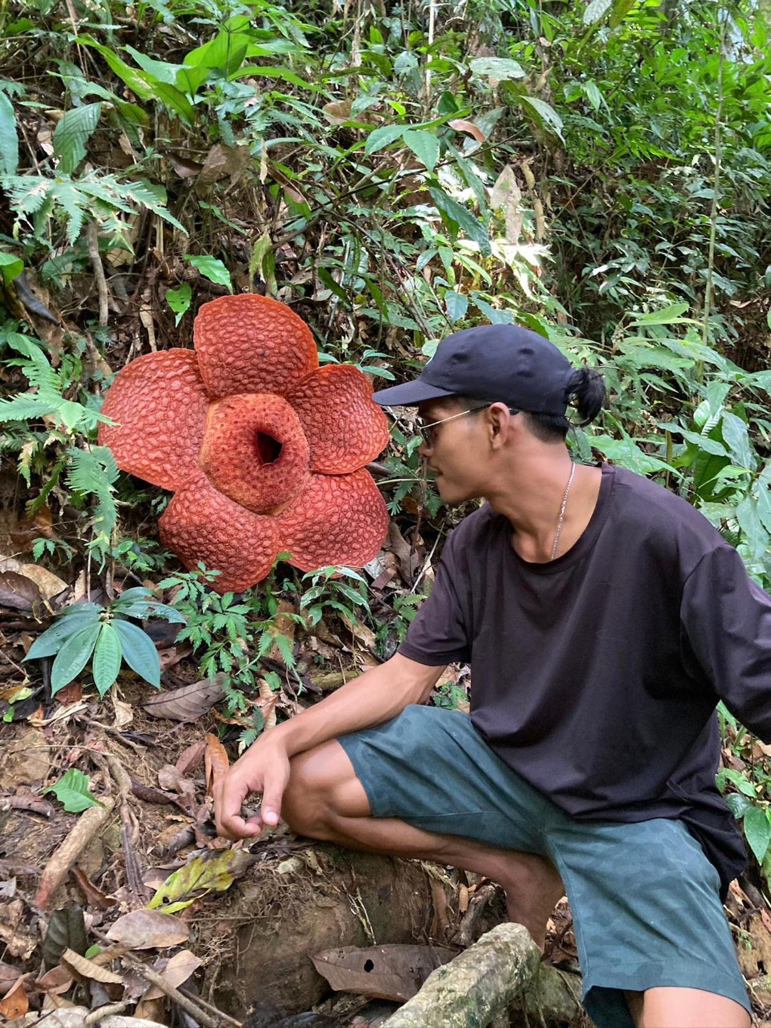 Eco Trekking Lodge, Bar & Jungle Tour'S Bukit Lawang Extérieur photo