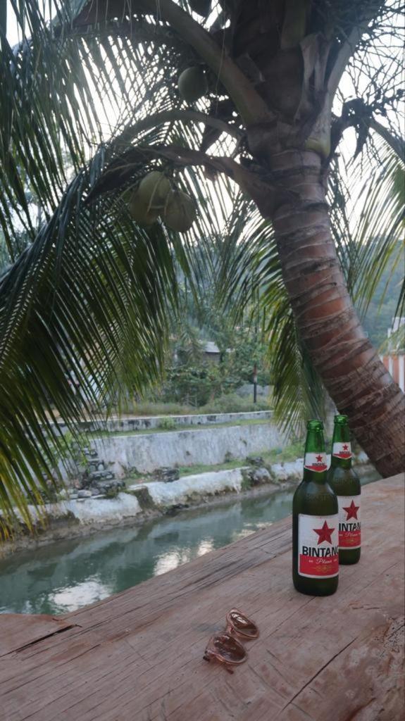 Eco Trekking Lodge, Bar & Jungle Tour'S Bukit Lawang Extérieur photo