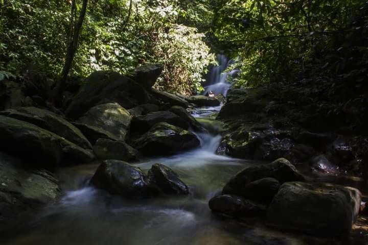 Eco Trekking Lodge, Bar & Jungle Tour'S Bukit Lawang Extérieur photo